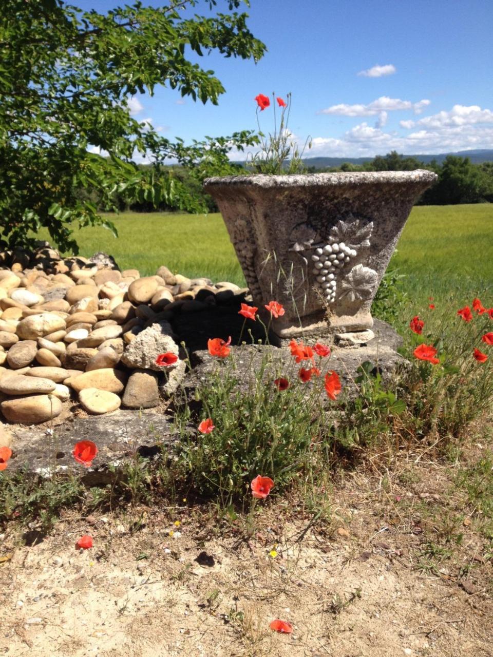 La Salamandre Bleue Villa Chantemerle-les-Grignan ภายนอก รูปภาพ